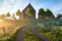 愤怒的小鸟重启什么时候上线？愤怒的小鸟重启手游下载？